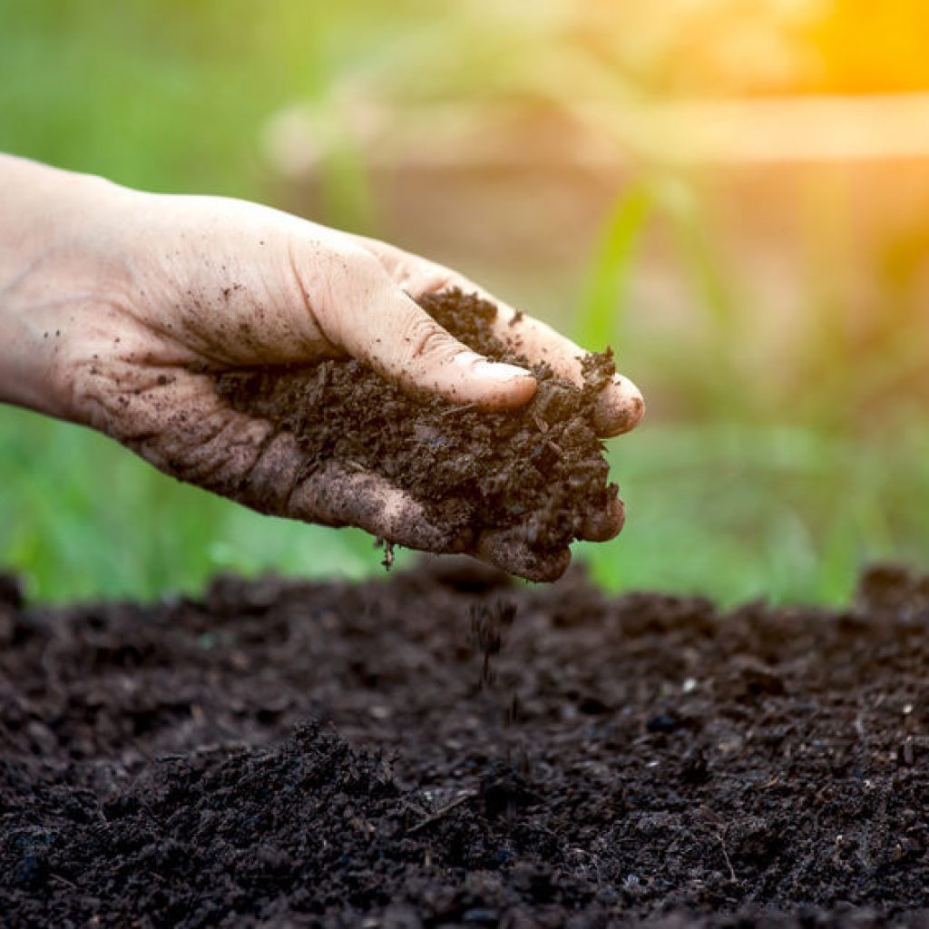 Soil testing